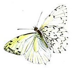 foto 1873