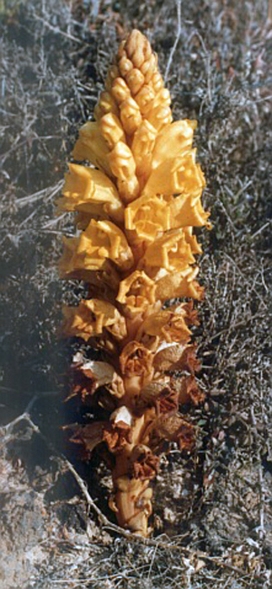 foto 101