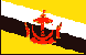 flag 46