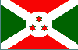 flag 50