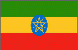 flag 91