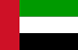 flag 111