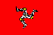 flag 138