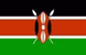 flag 150
