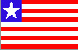 flag 161