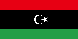 flag 163