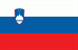 flag 249