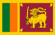 flag 263