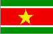 flag 271