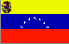 flag 307