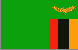 flag 319