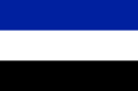 flag 338