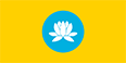 flag 443