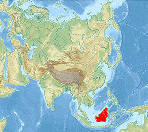 map 424